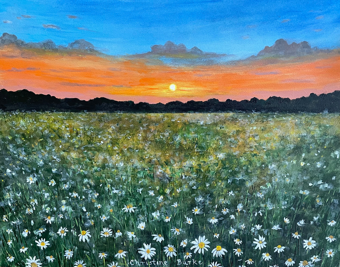 Daisies at Sunset | Original Art | Framed