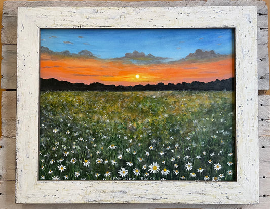 Daisies at Sunset | Original Art | Framed
