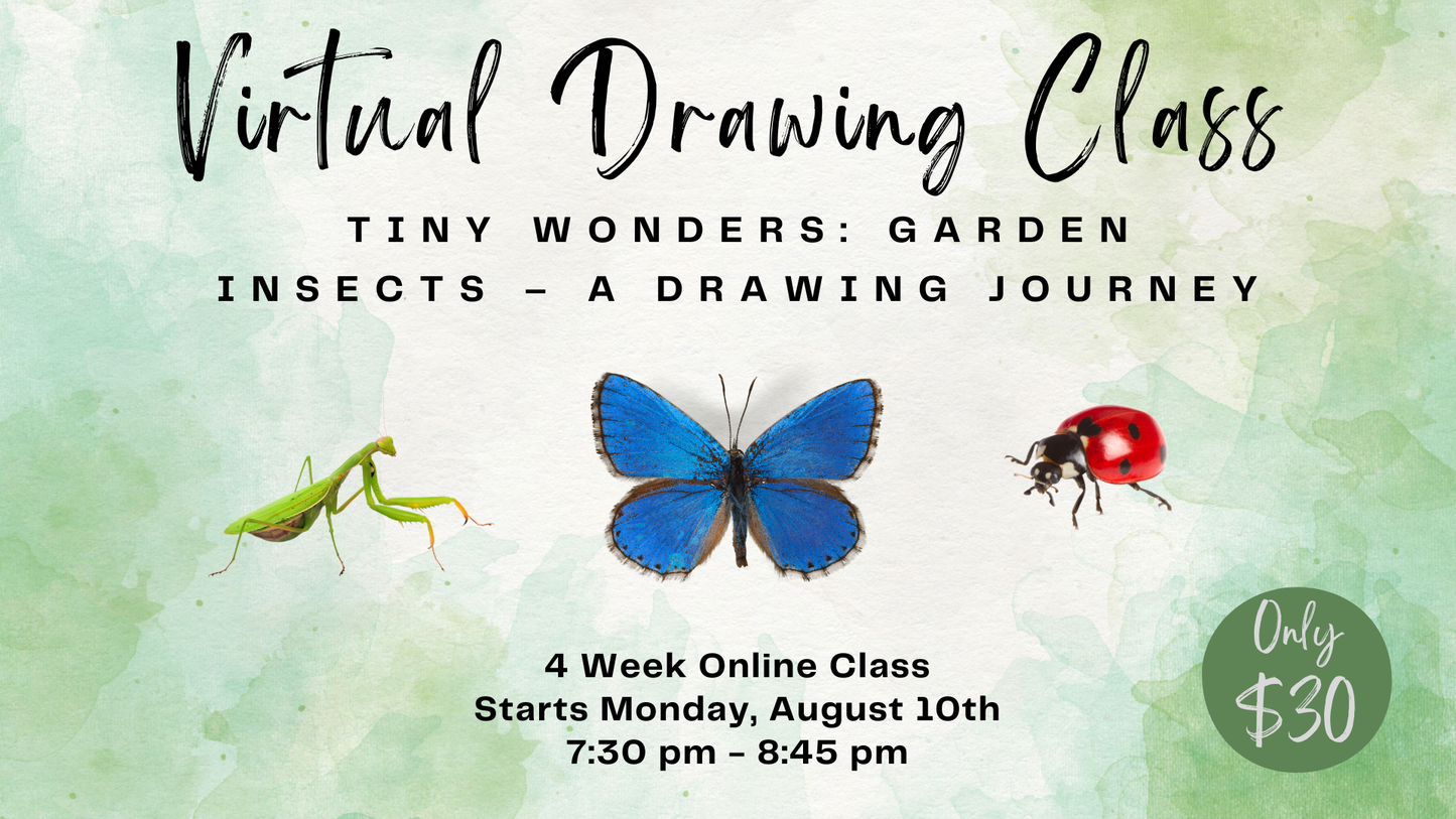 Virtual Drawing Class Series - August - Tiny Wonders: Garden Insects